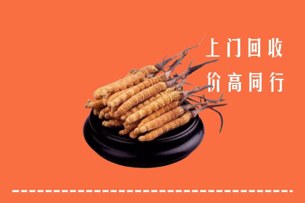 高价求购：和林格尔县回收散虫草