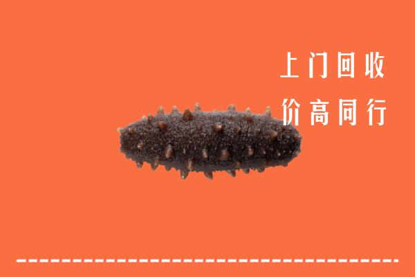 高价求购：和林格尔县回收海参