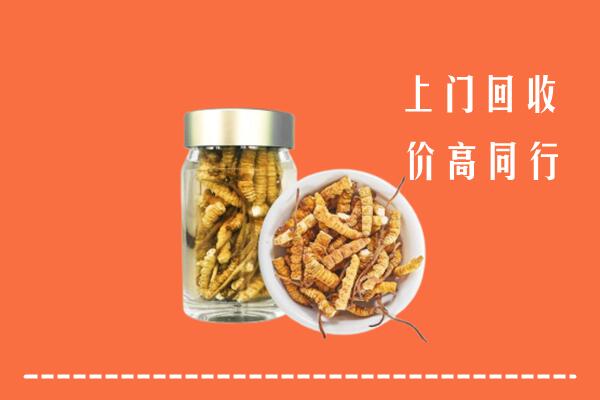和林格尔县回收冬虫夏草