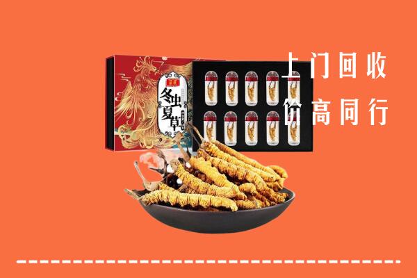 和林格尔县回收虫草